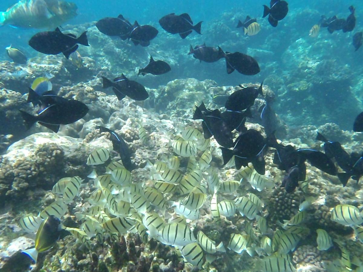 Island Time Guest Room Flying Fish Cove Buitenkant foto